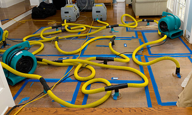 Professional Emergency Water Removal technician working in Brighton, IL